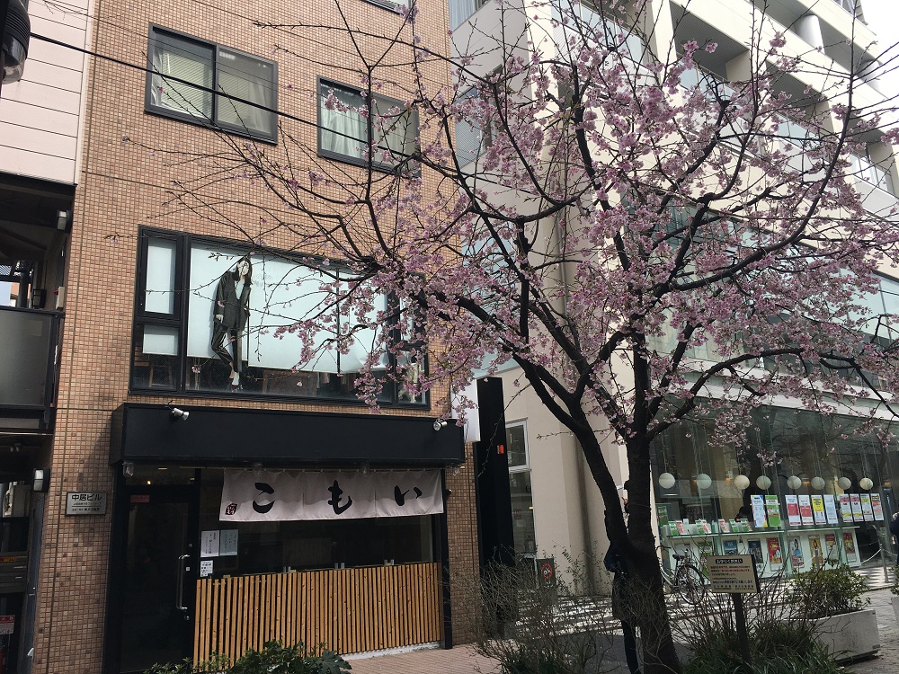 「いもこ」店舗前の桜はもうさいてます