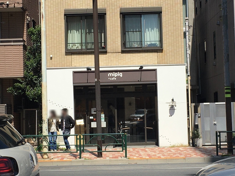 マイクロブタと触れ合えるカフェ「mipigcafe」目黒店