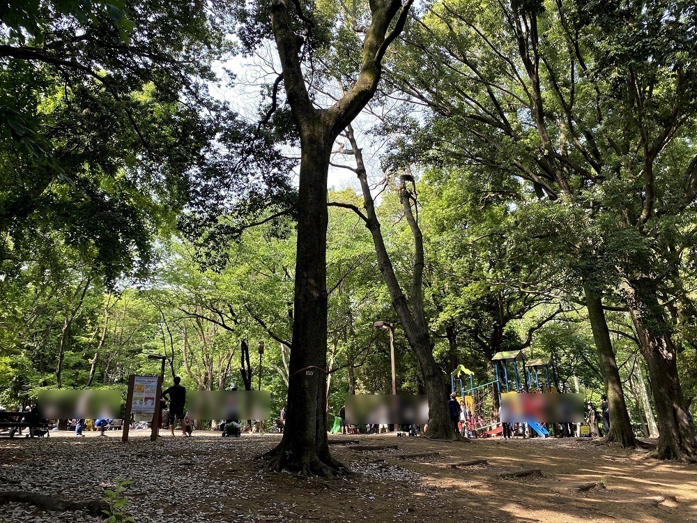 林試の森・遊具がある子ども広場周辺