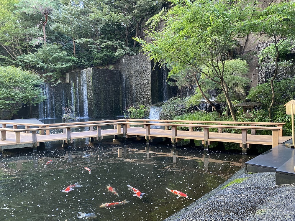 コイが泳ぐ日本庭園
