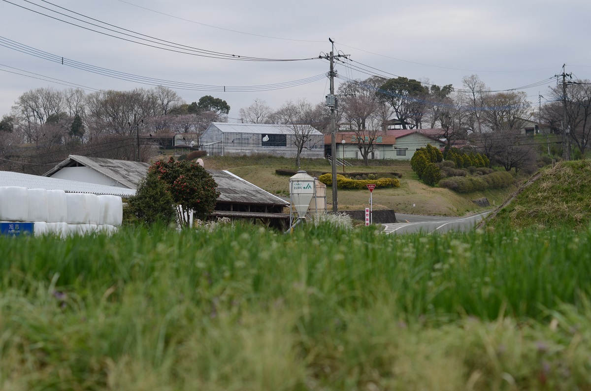 菊池市にある山瀬牧場