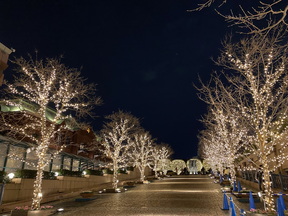 恵比寿ガーデンプレスの夜景