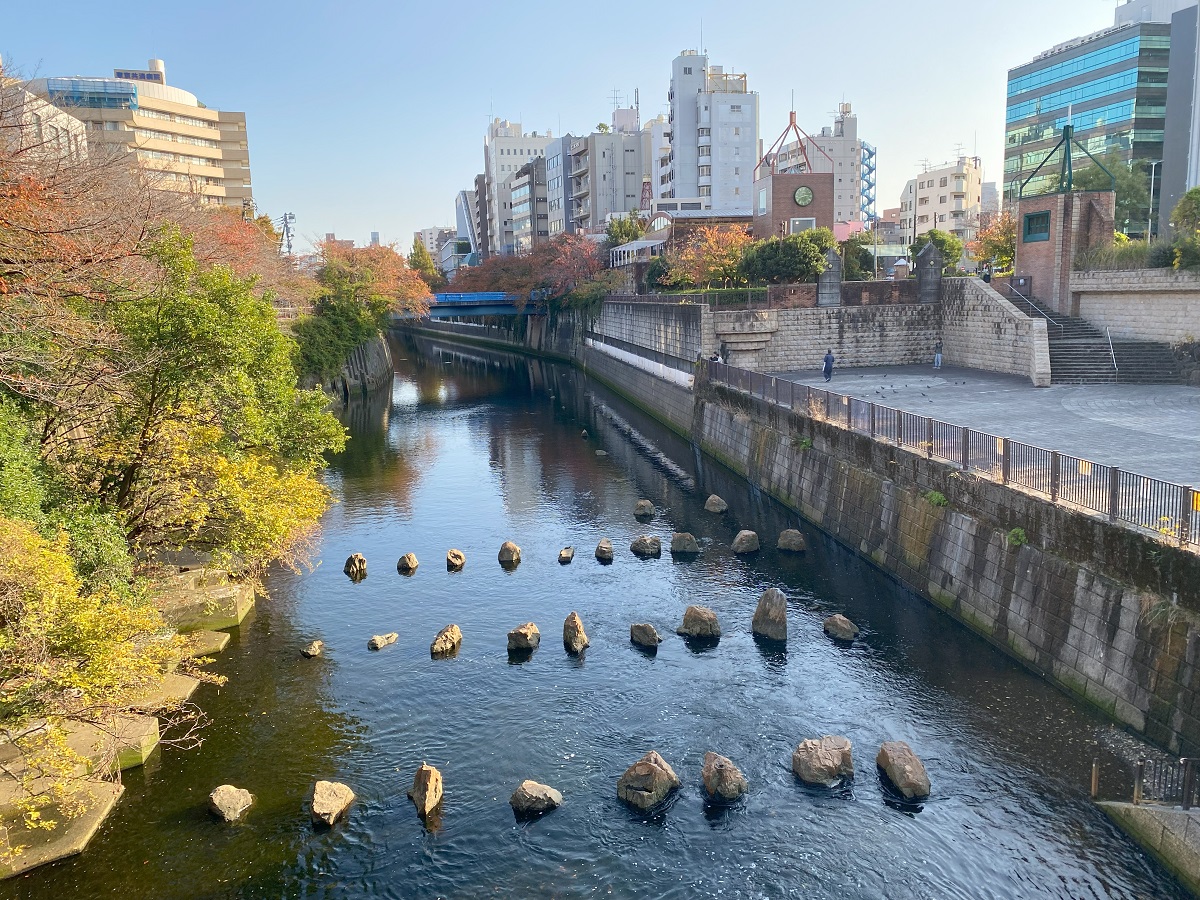 船入場調節池のある目黒川