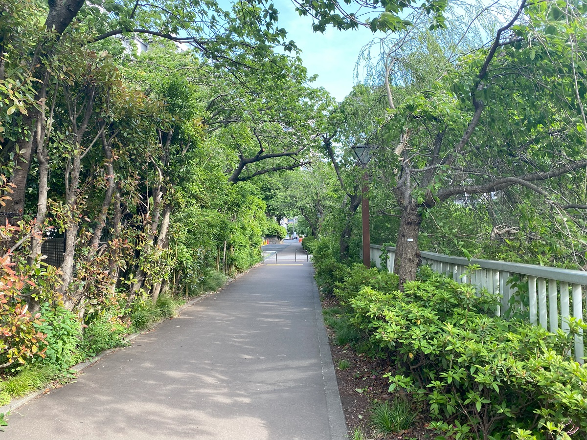 新緑の季節の目黒川散歩も素敵です