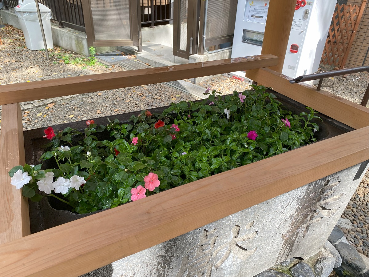 上目黒氷川神社の花手水