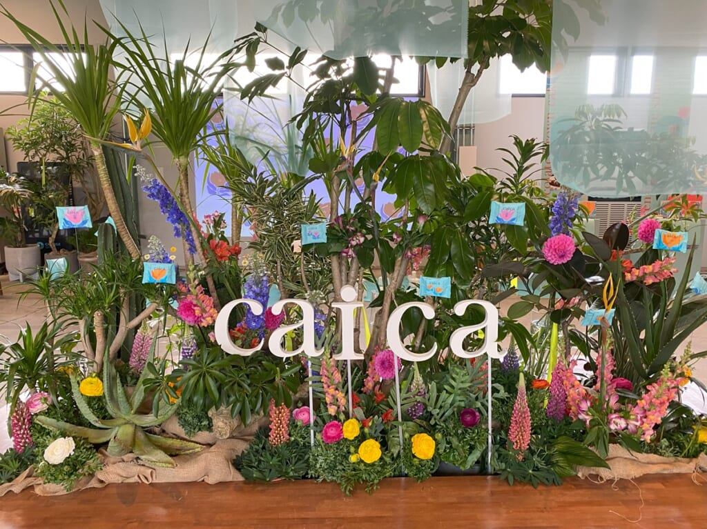 ベイクの新ブランド「caica」
