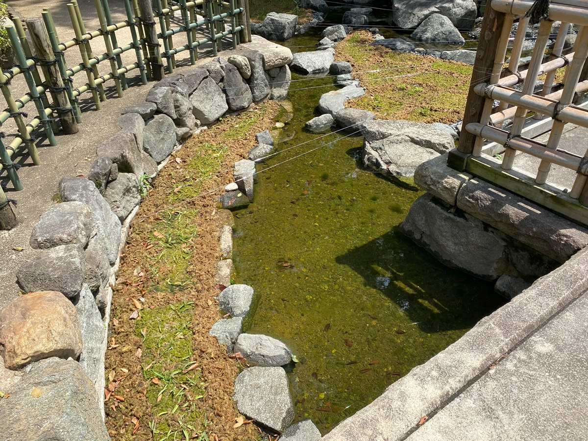 鷺草園