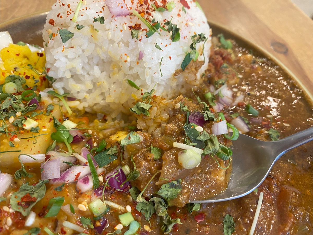 旬野菜と海老のビンダルカレー