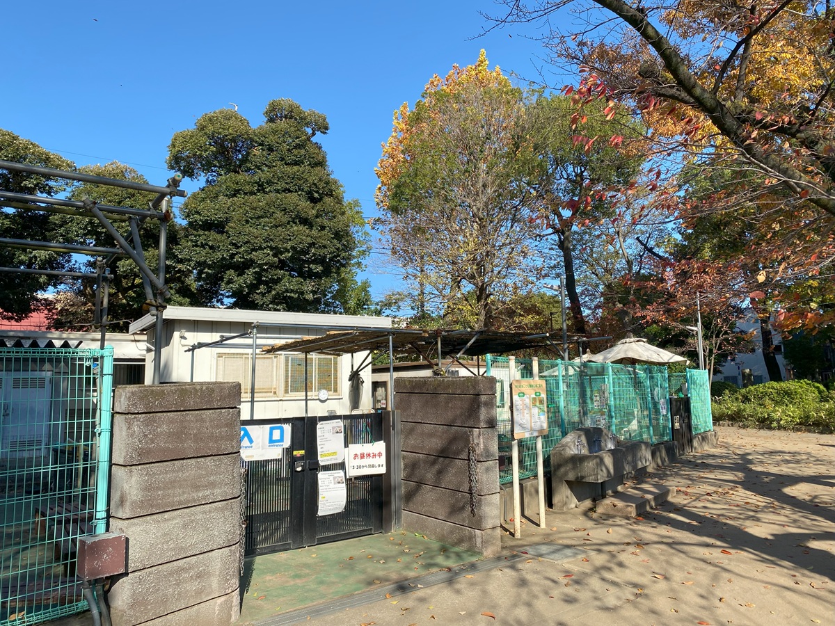 小動物とのふれあいコーナー