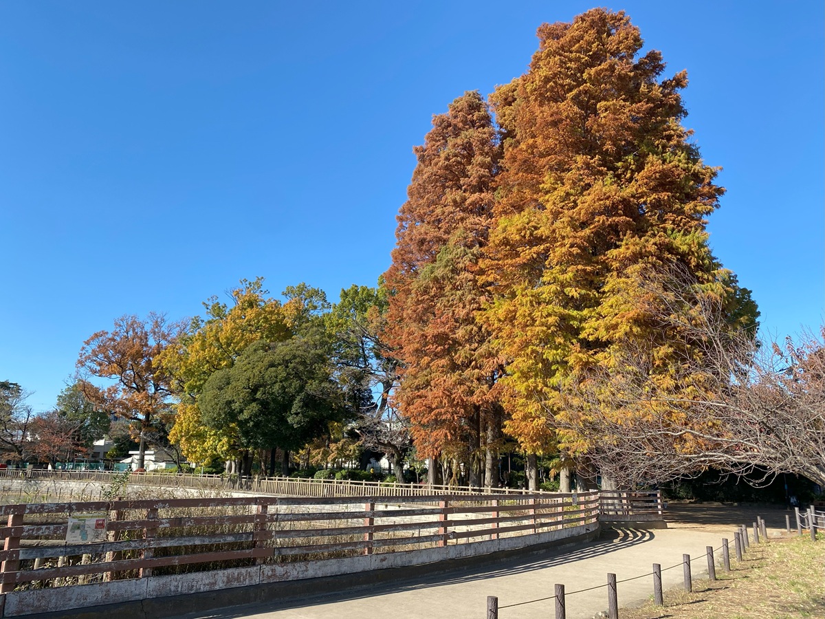 変化のある公園内の風景