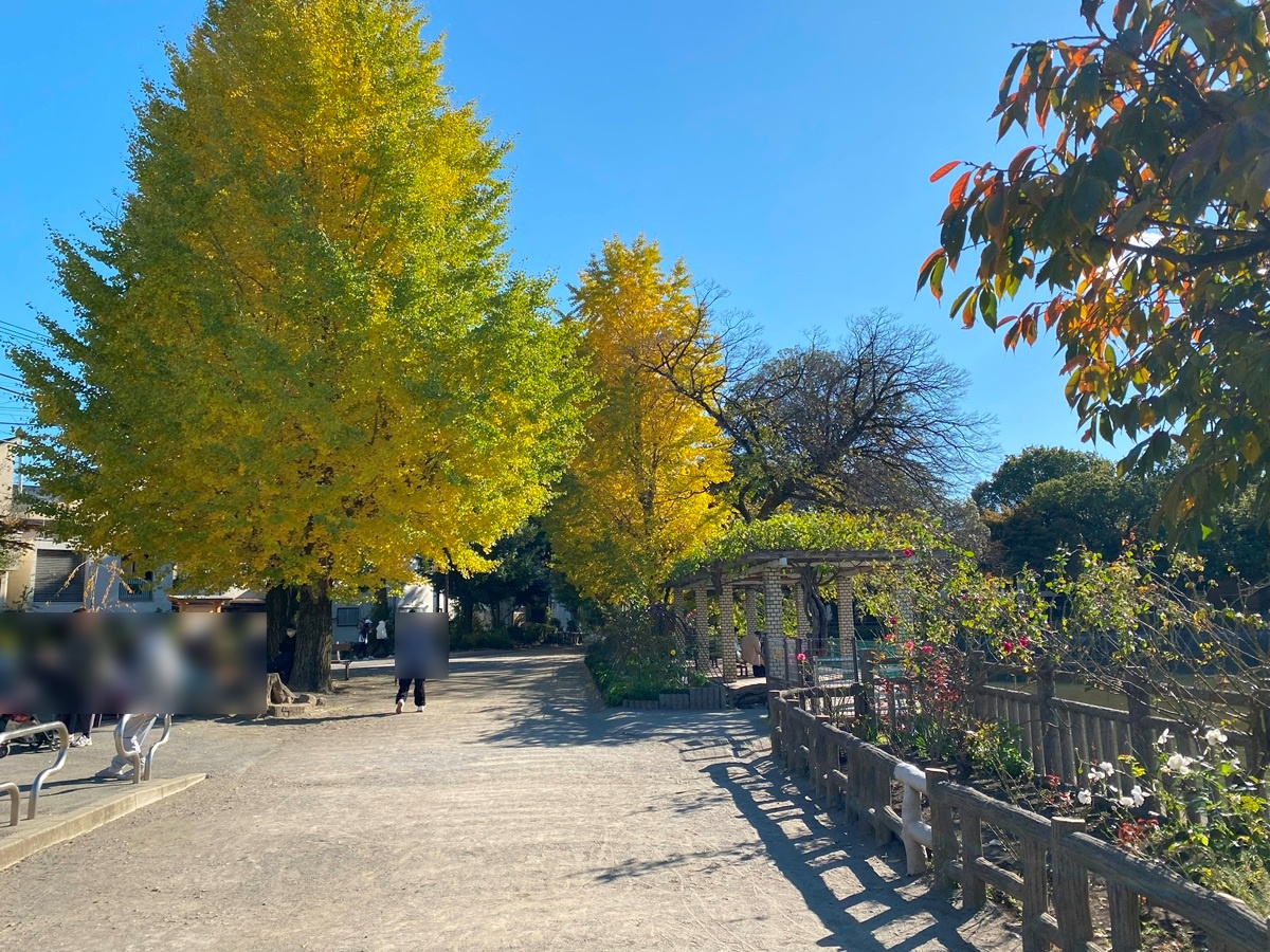 紅葉も美しい碑文谷公園