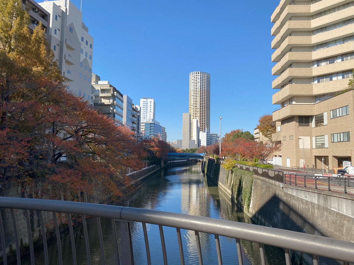 中目黒　なかめ公園橋