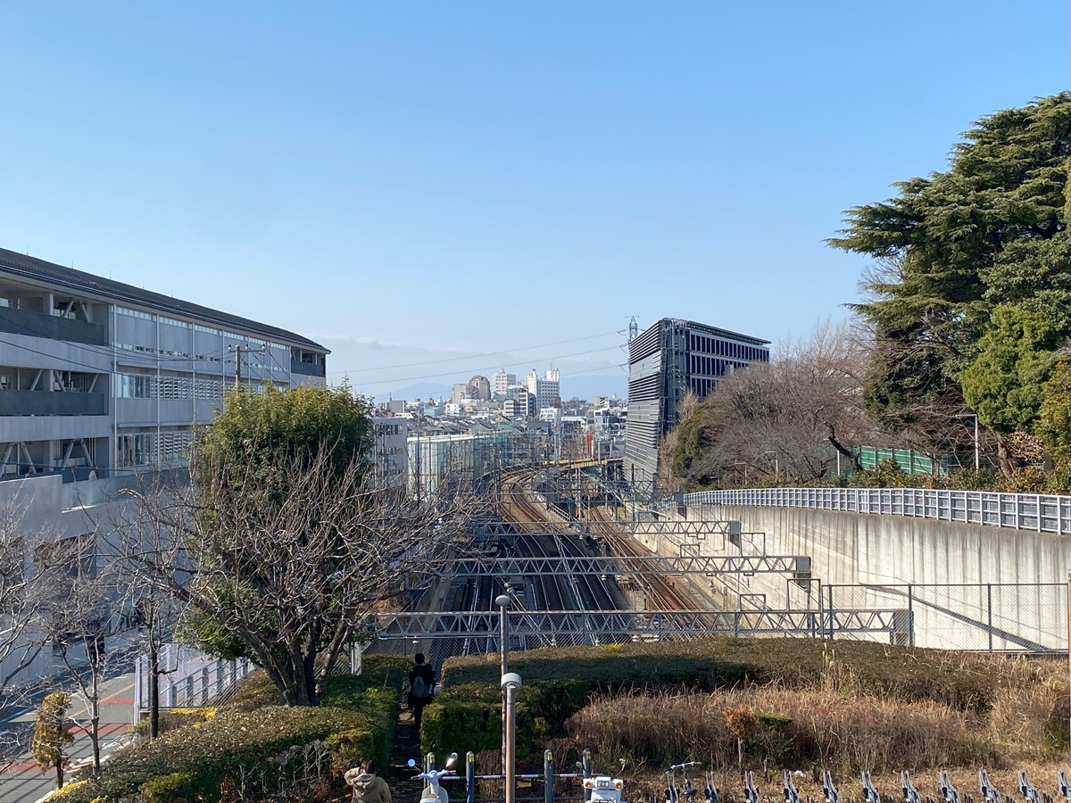 東京科学大学近く、橋の上からの景色