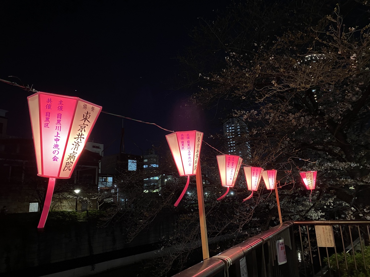 目黒川の夜桜