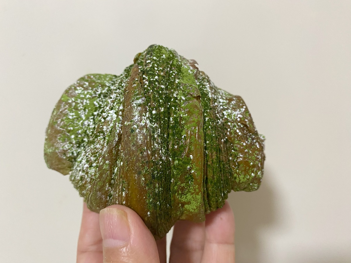 クロワッサン 抹茶あんこ