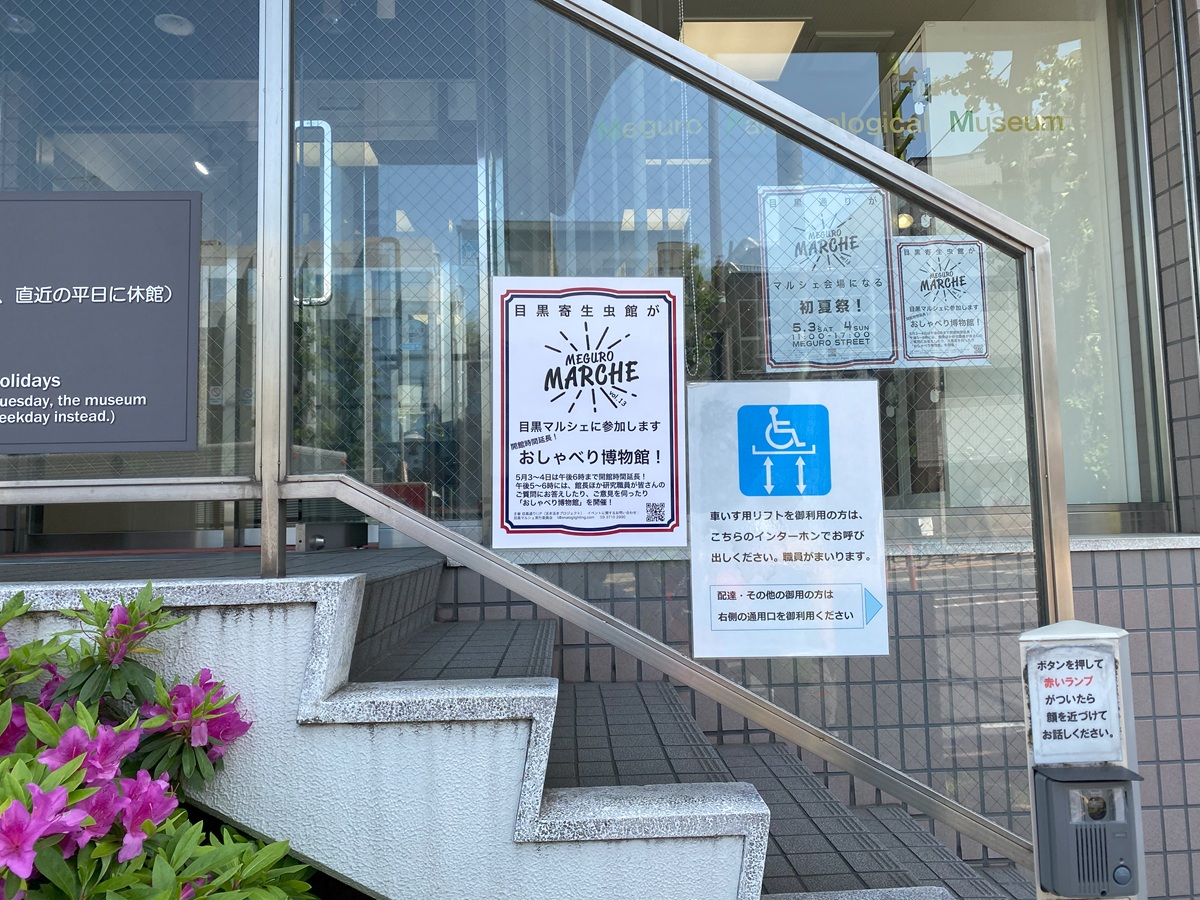 目黒寄生虫館も参加