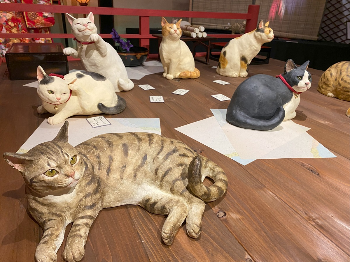小澤康磨さんの愛くるしい猫たち