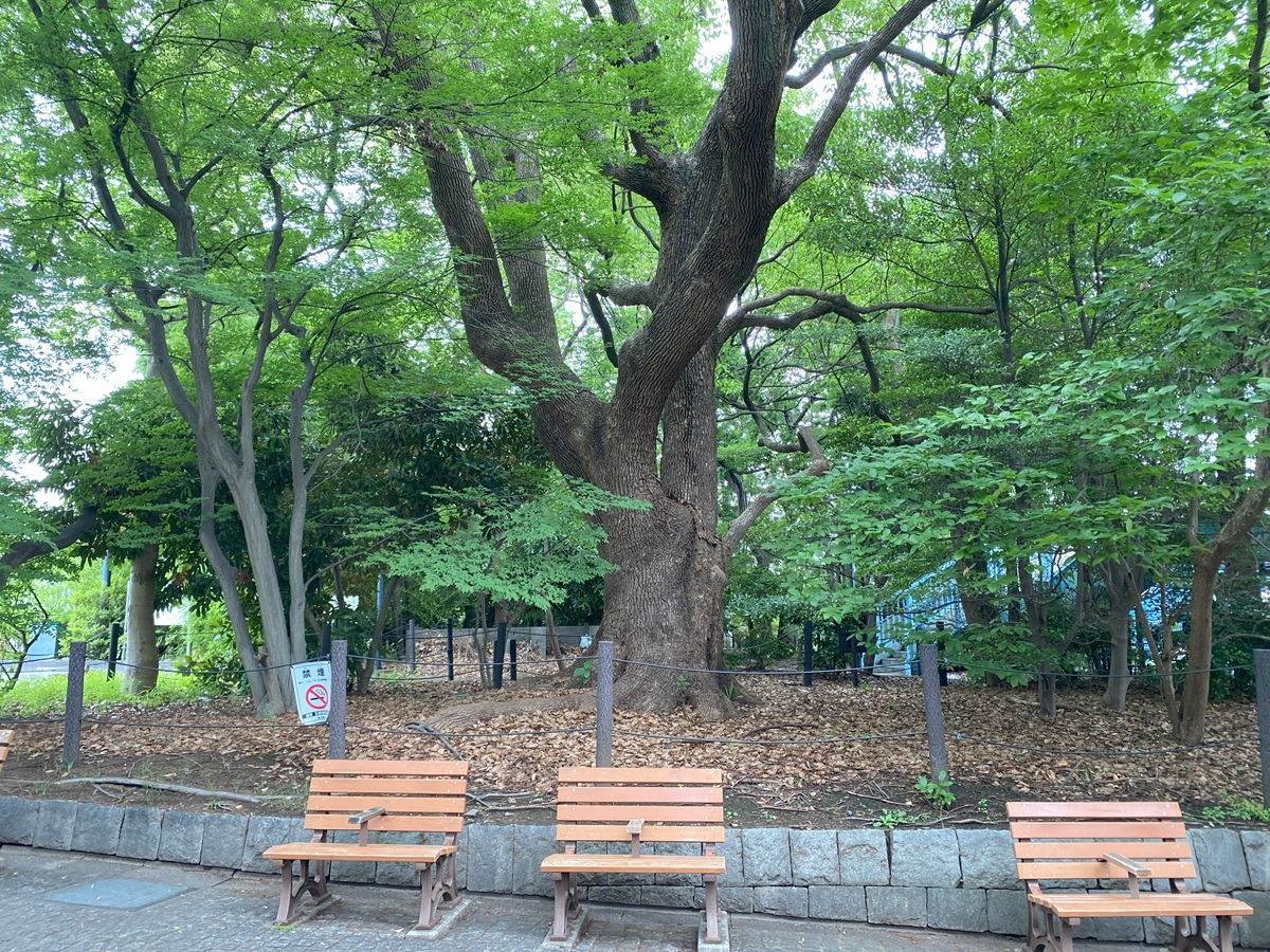 休憩できるベンチもある