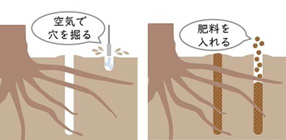 樹勢回復