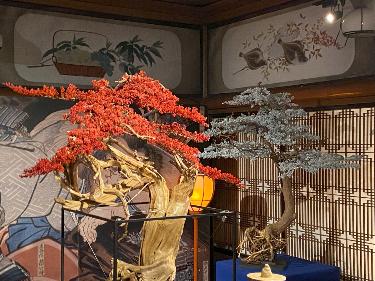 髙井一平（枯吹盆栽作家）