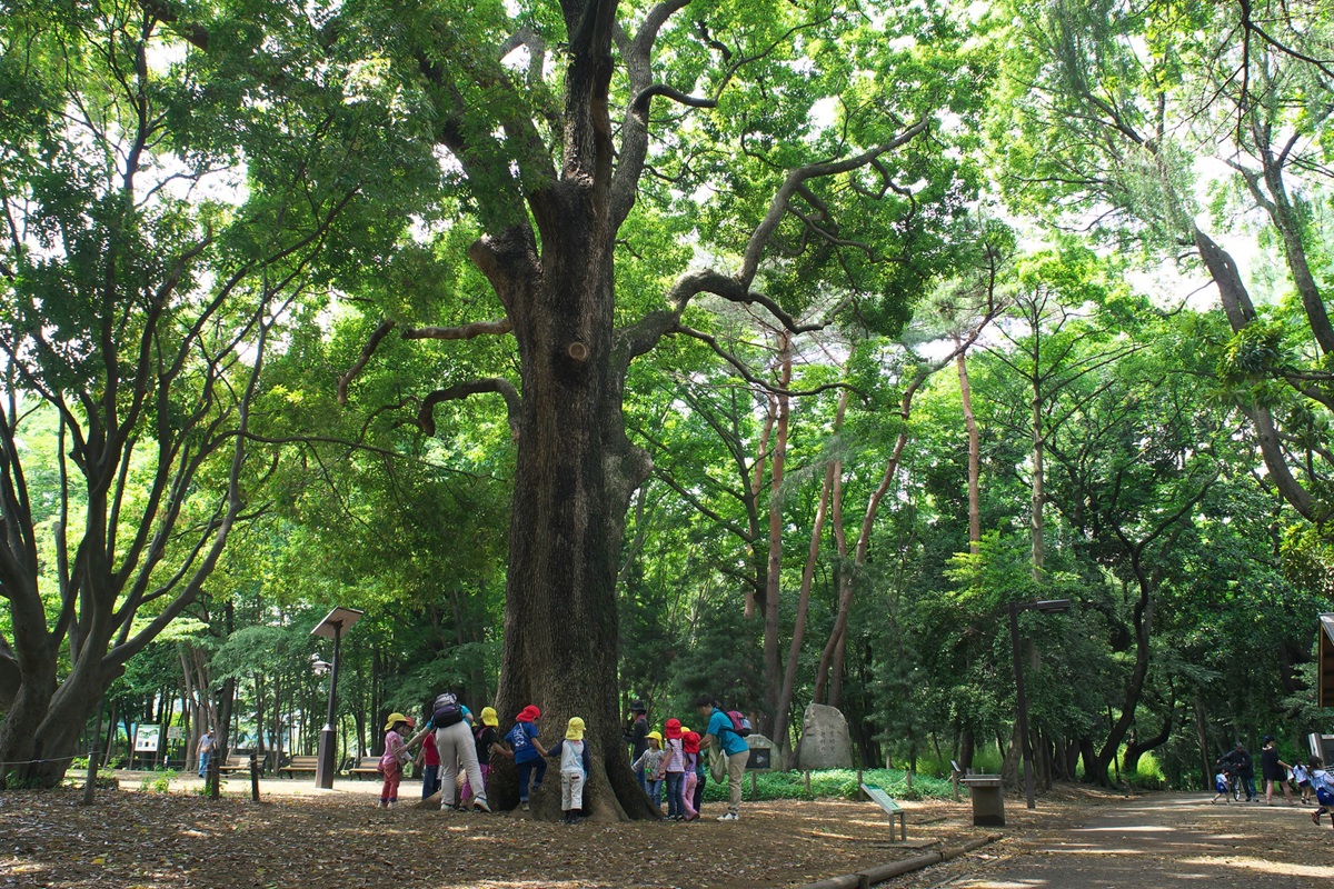 林試の森公園サービスセンターの場所