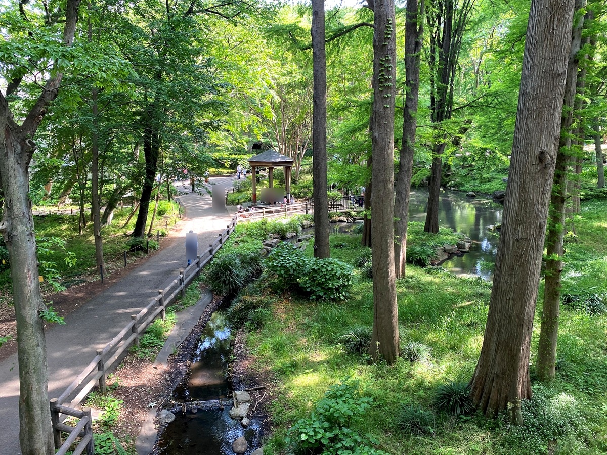 林試の森公園でサマースクール実施