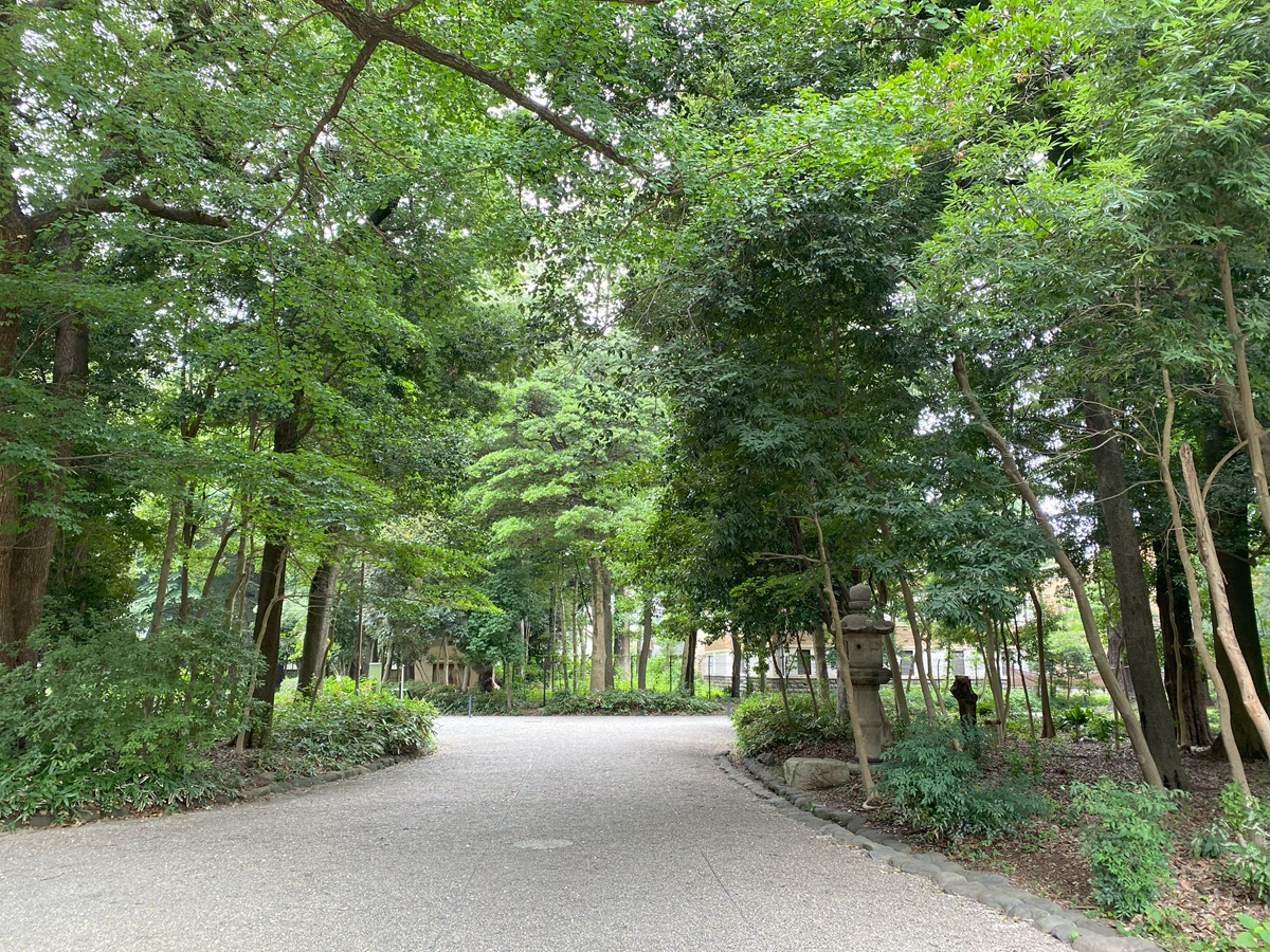 駒場公園