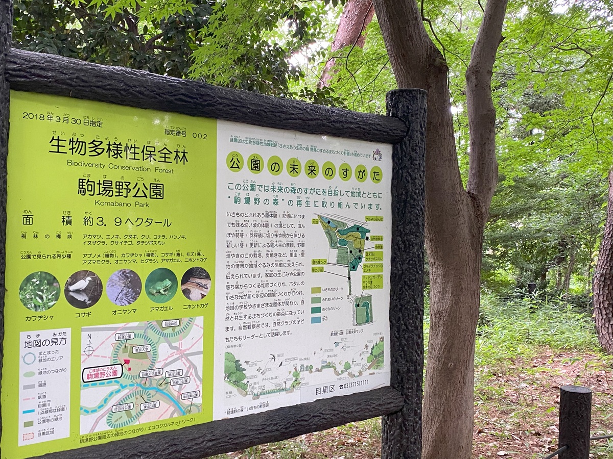駒場野公園