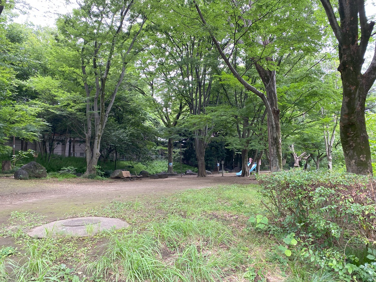 駒場野公園拡張部には滑り台なども