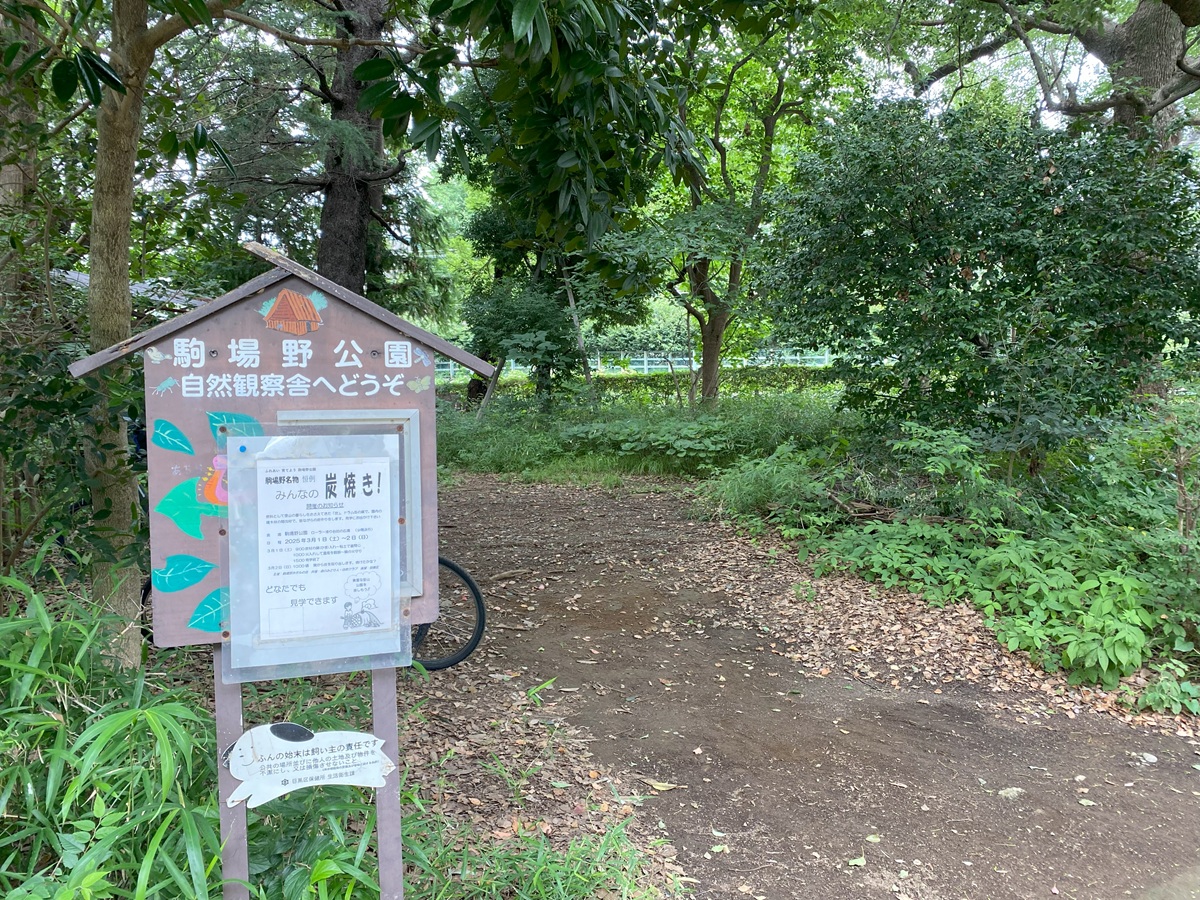 駒場野公園では炭焼きなどの活動も