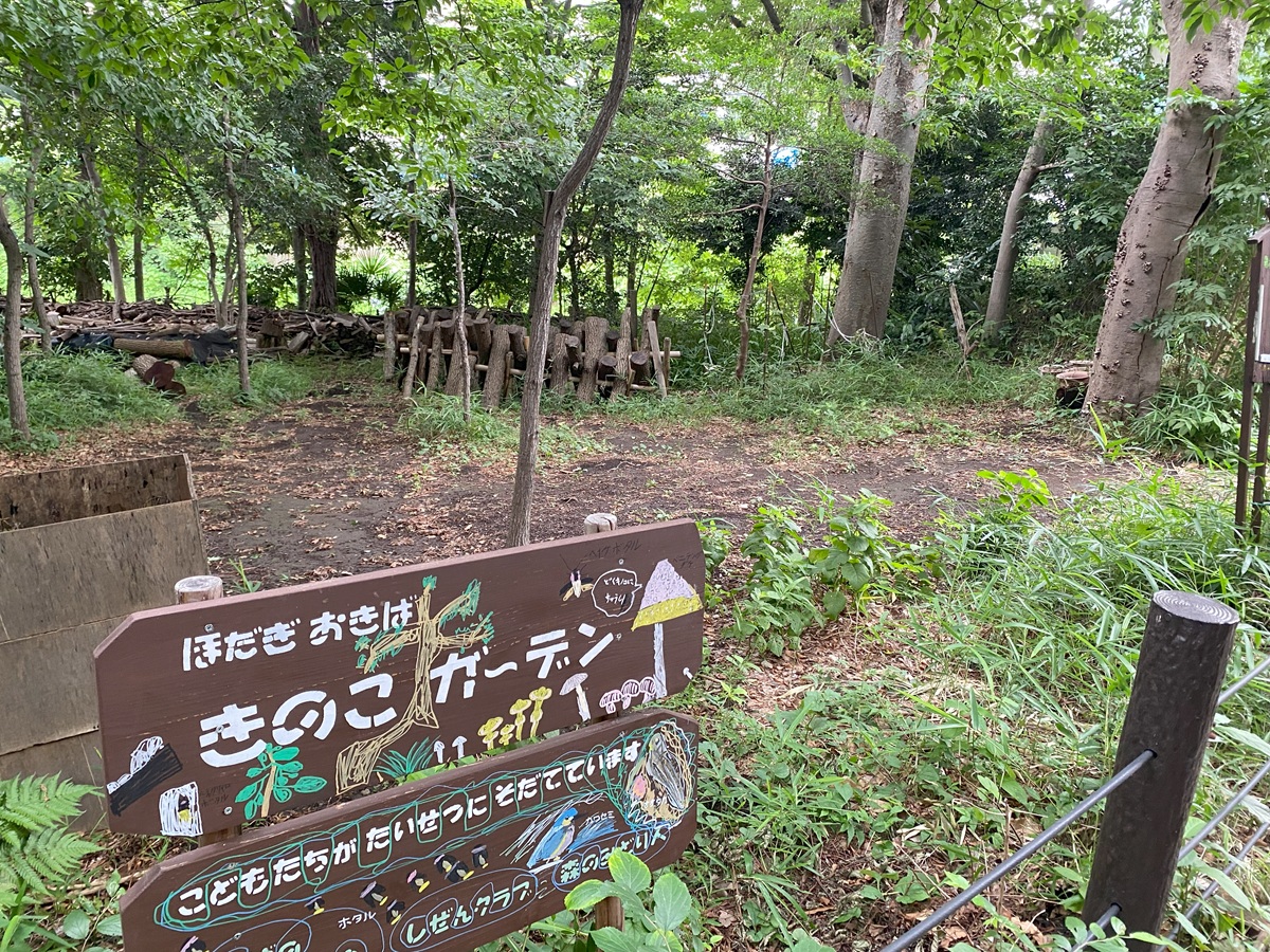 きのこガーデン