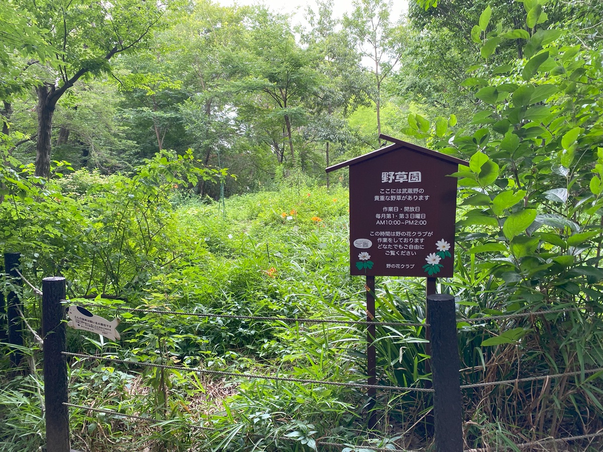野草園