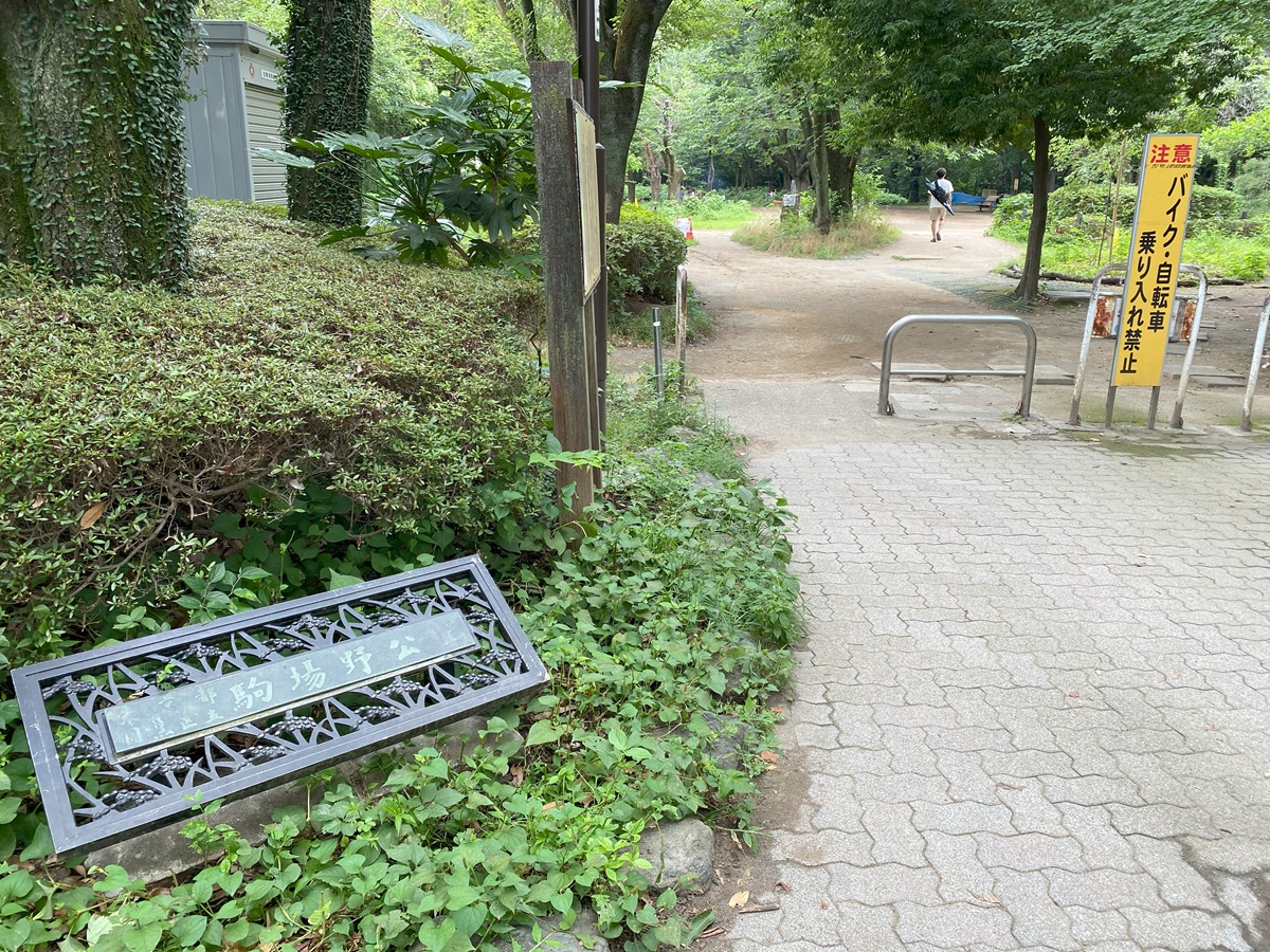 駒場の公園は桜の品種が豊富