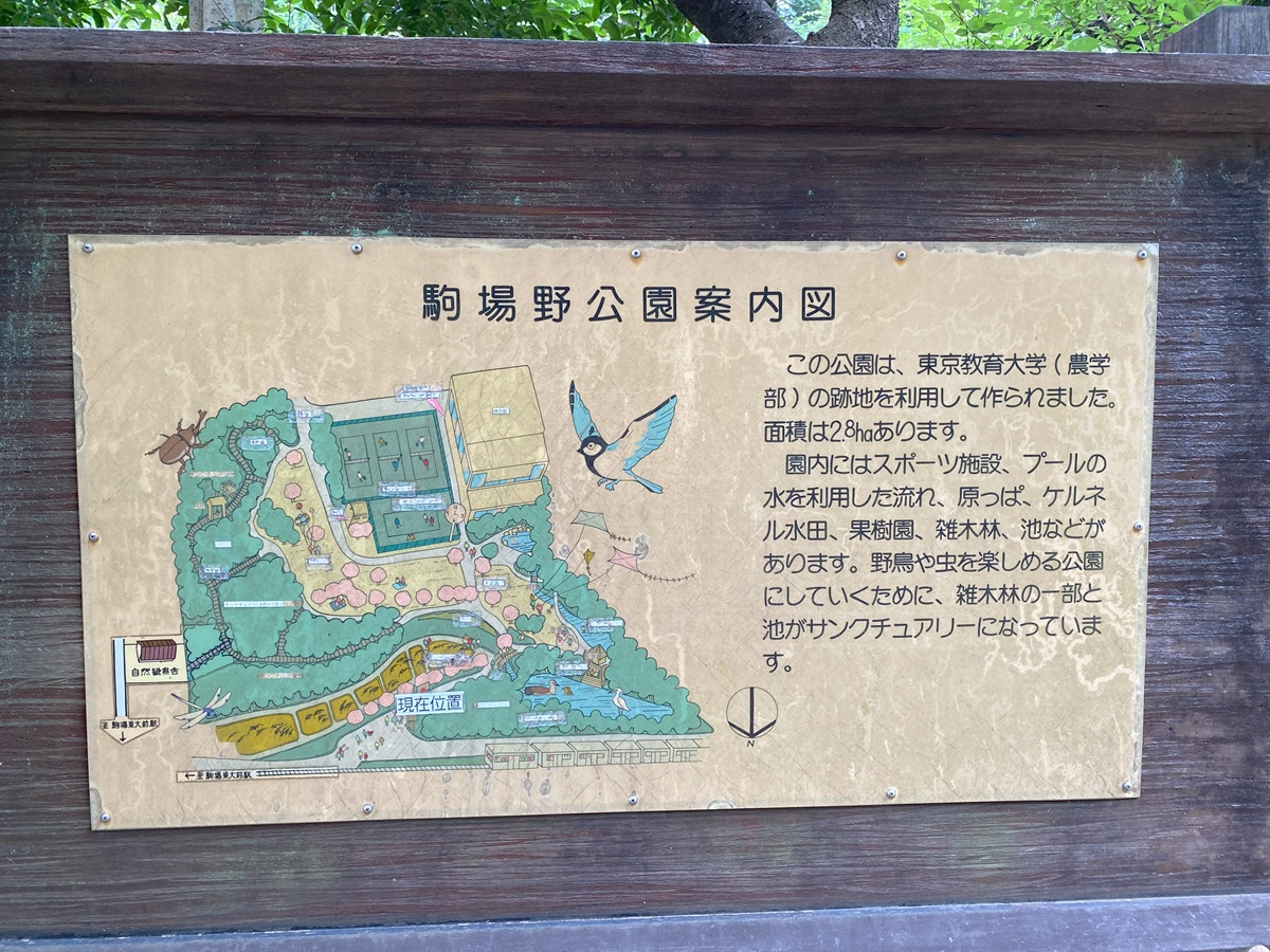 駒場野公園にはスポーツ施設も