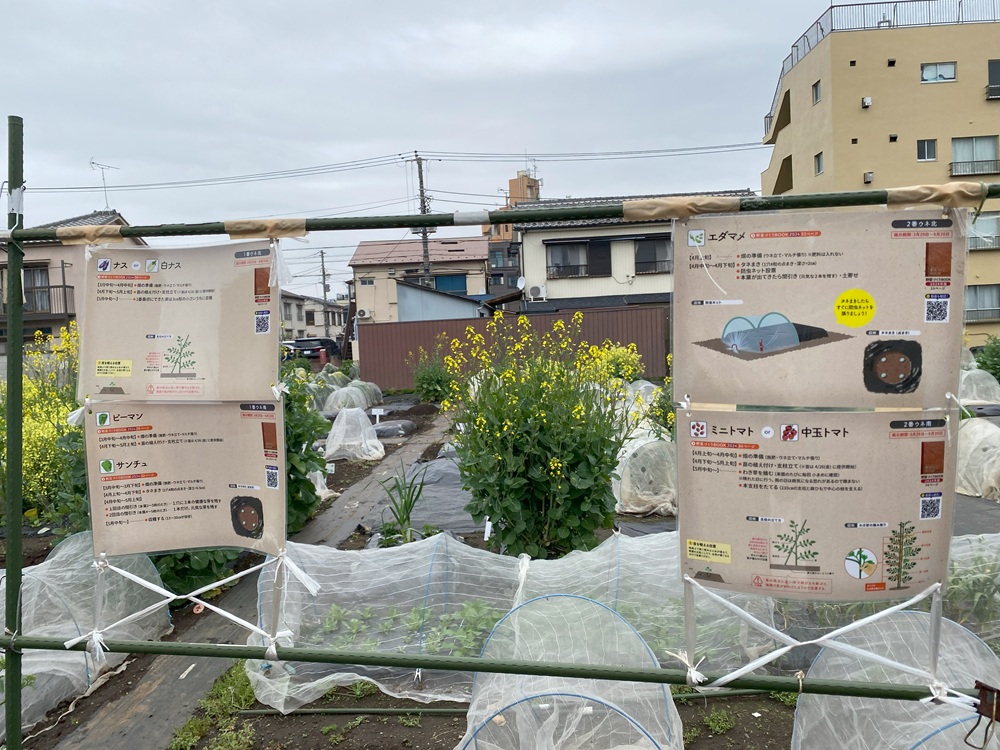 シェア畑 目黒本町