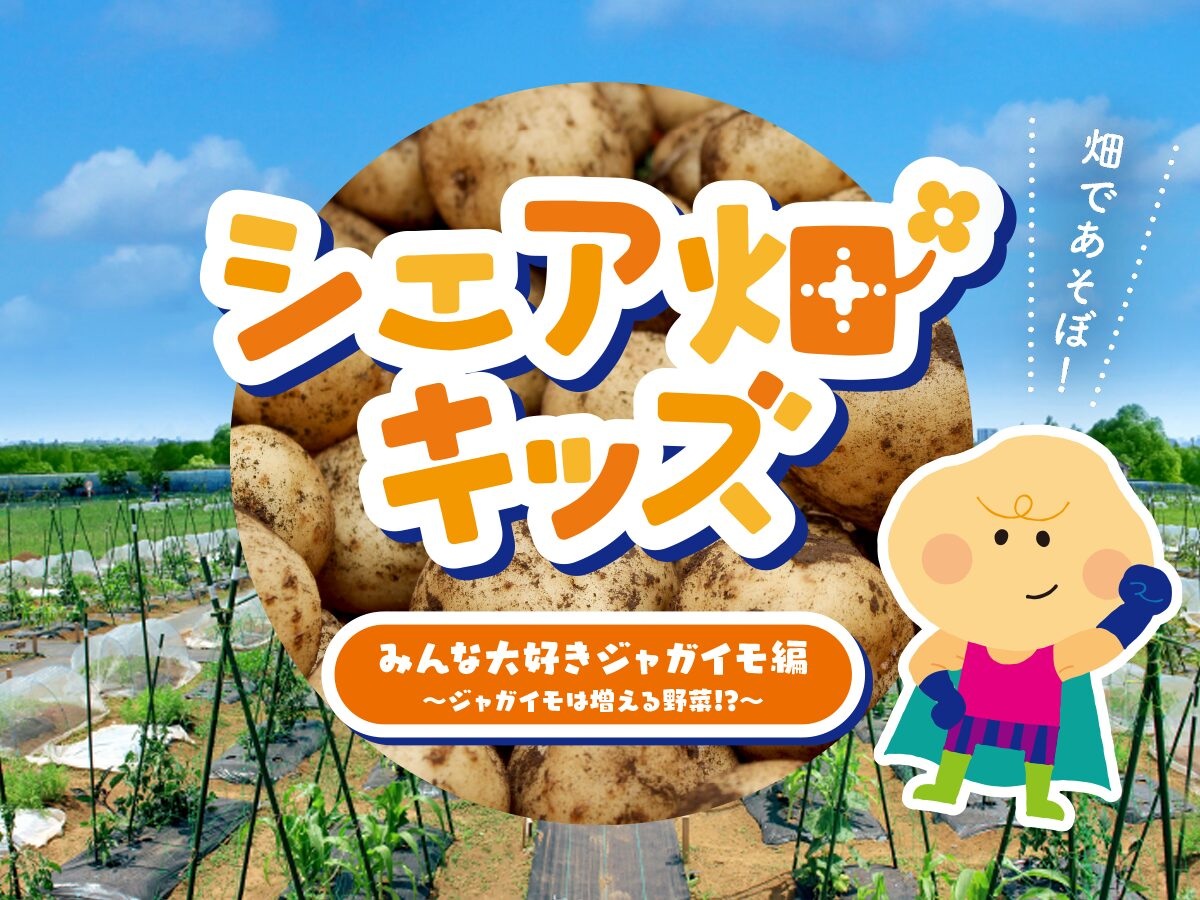 シェア畑キッズ