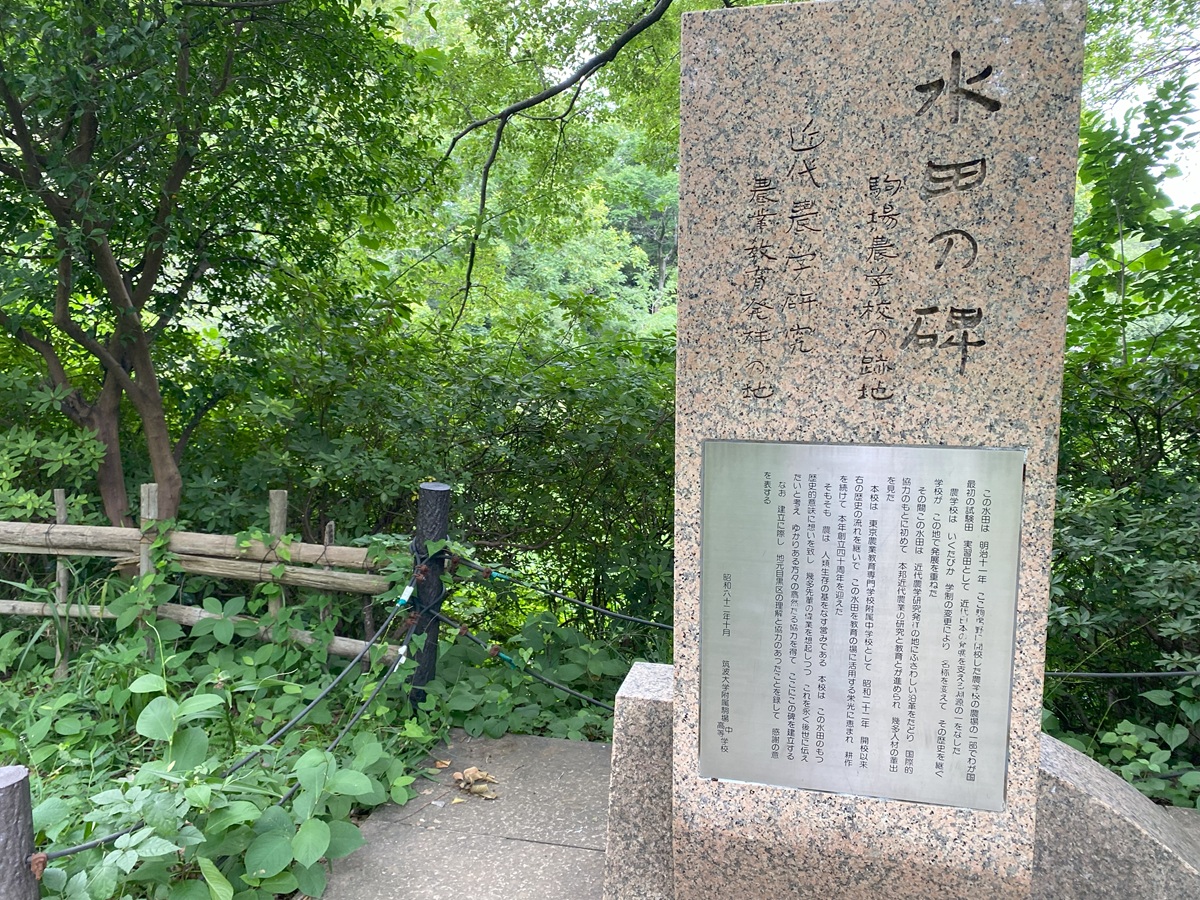 水田の碑