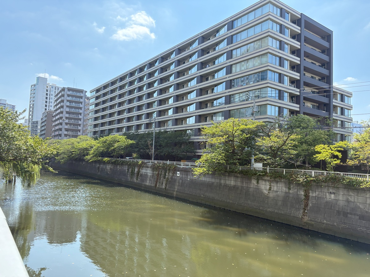 ホテル雅叙園東京前付近の目黒川