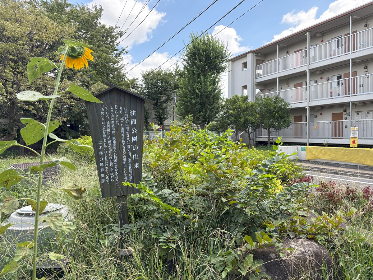 油面公園の由来