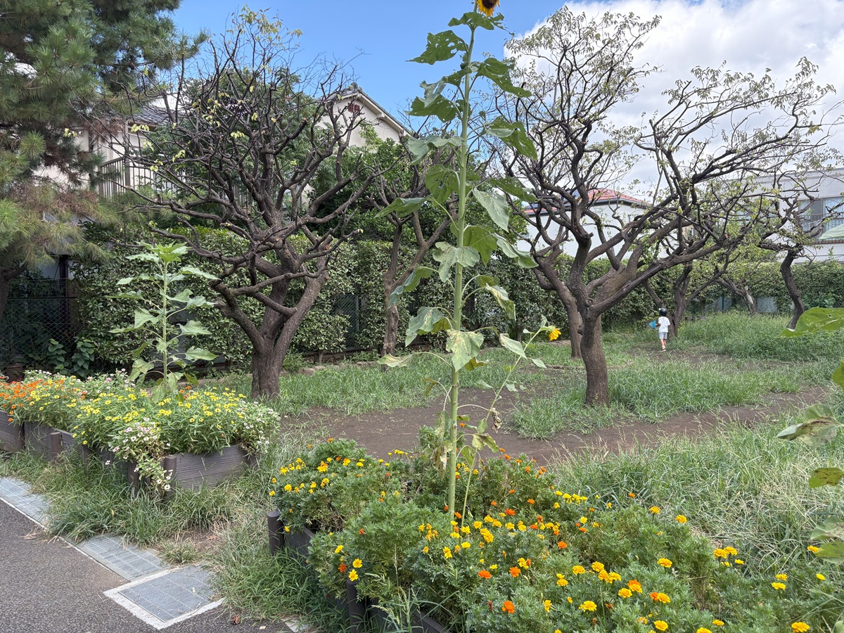 梅園