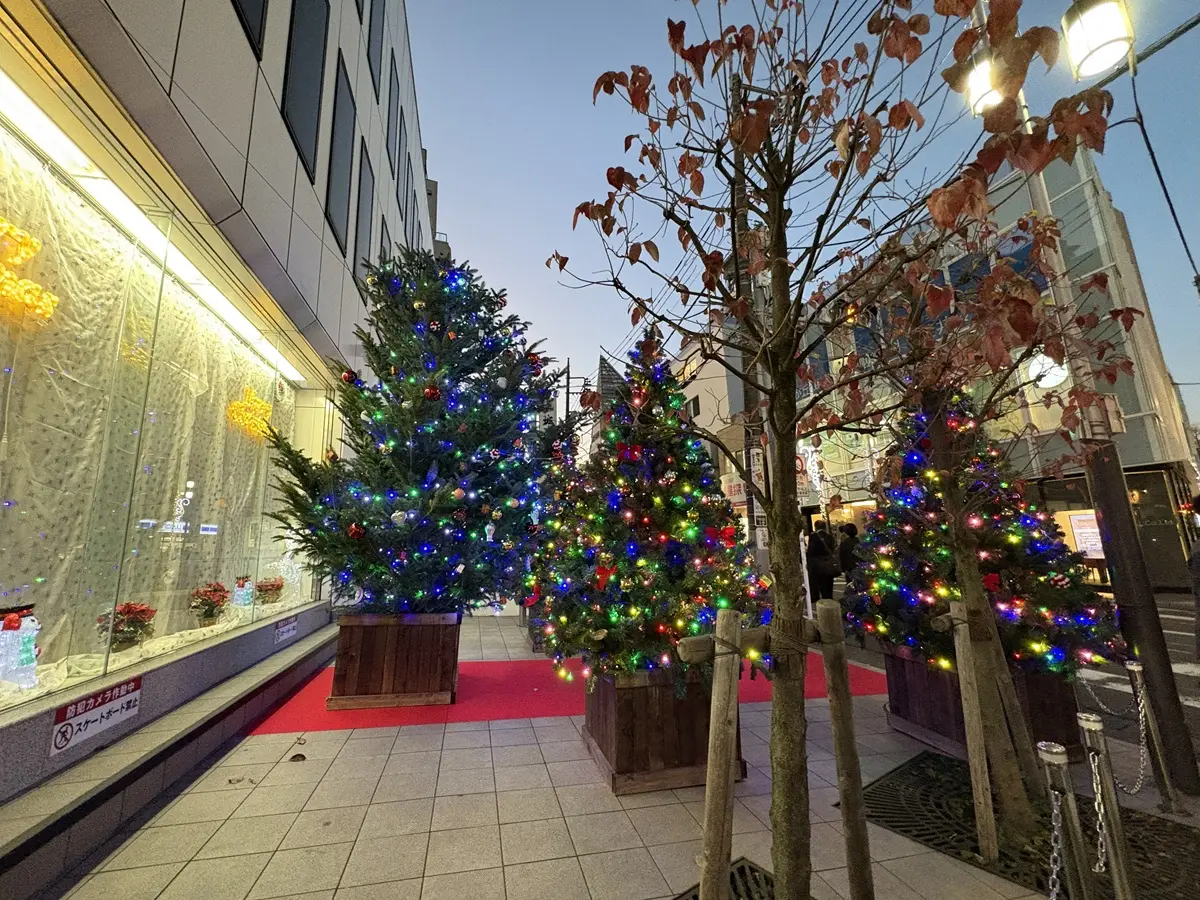 旭会のクリスマスツリーが点灯