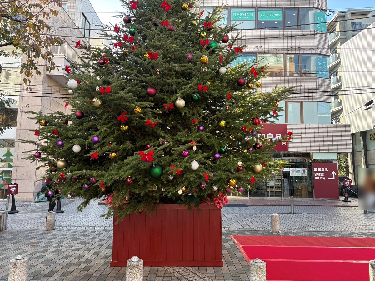 飾り付けを終えたツリー