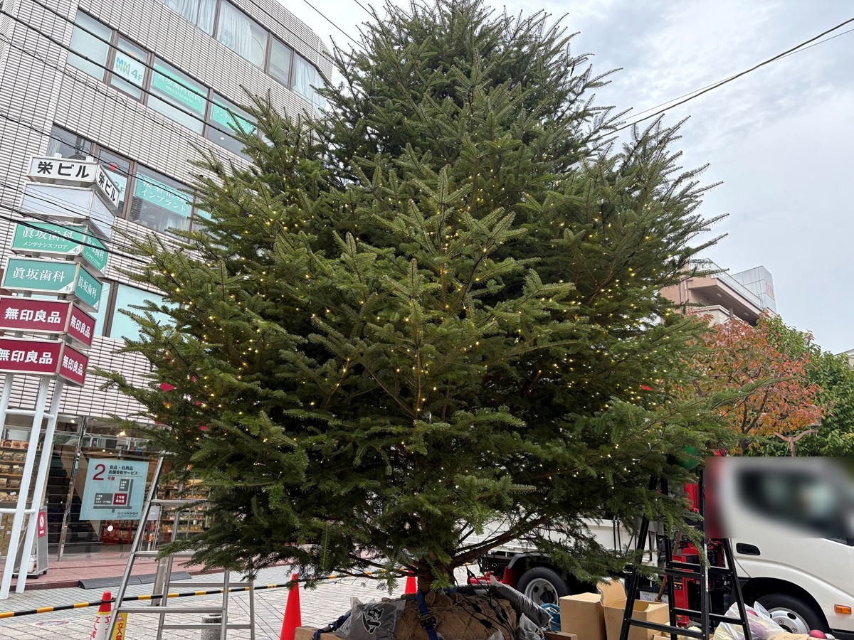 マリクレール通りのクリスマスツリー飾り付け中