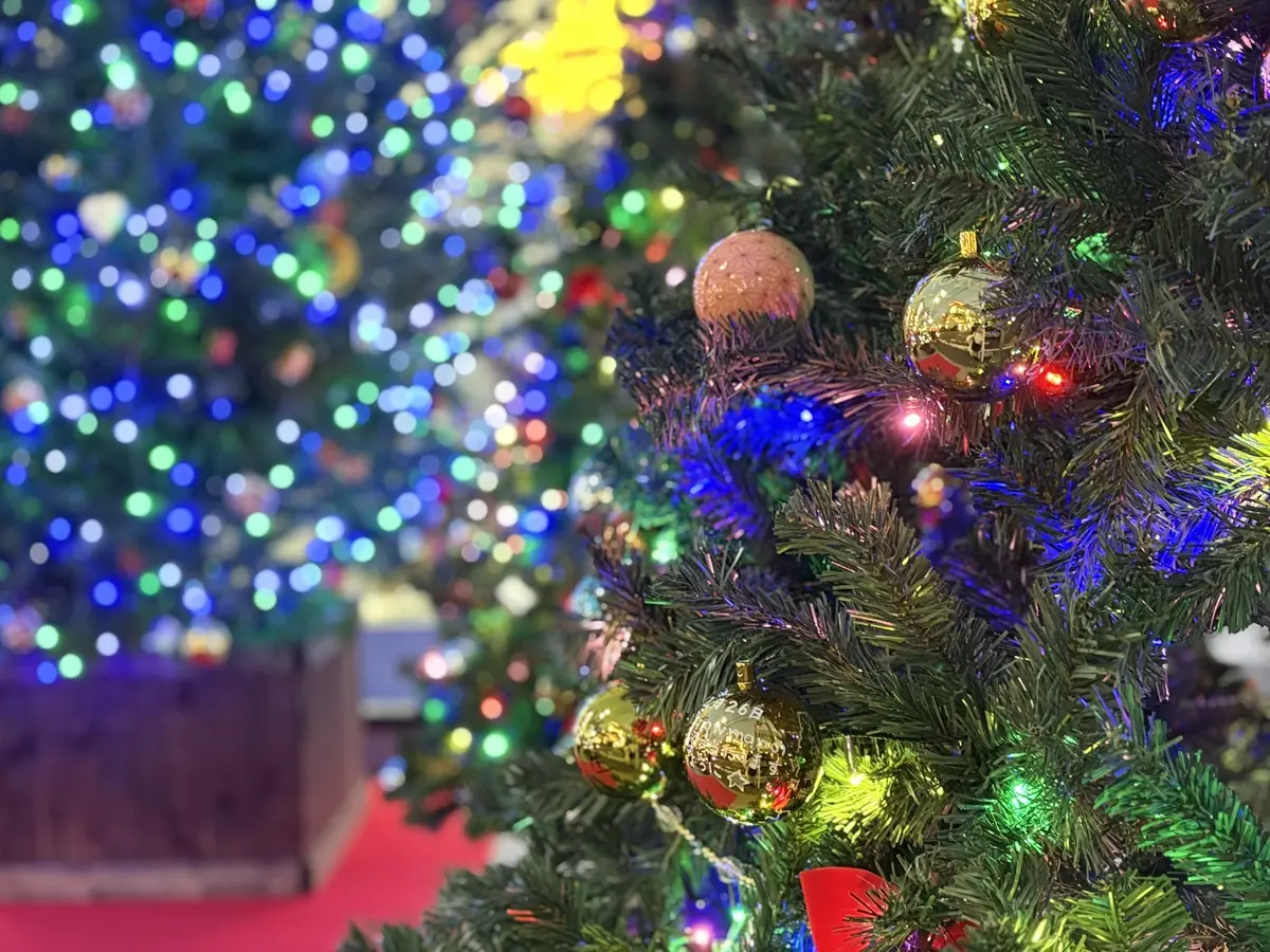 サンクスリバティ2025　11月30日に点灯式