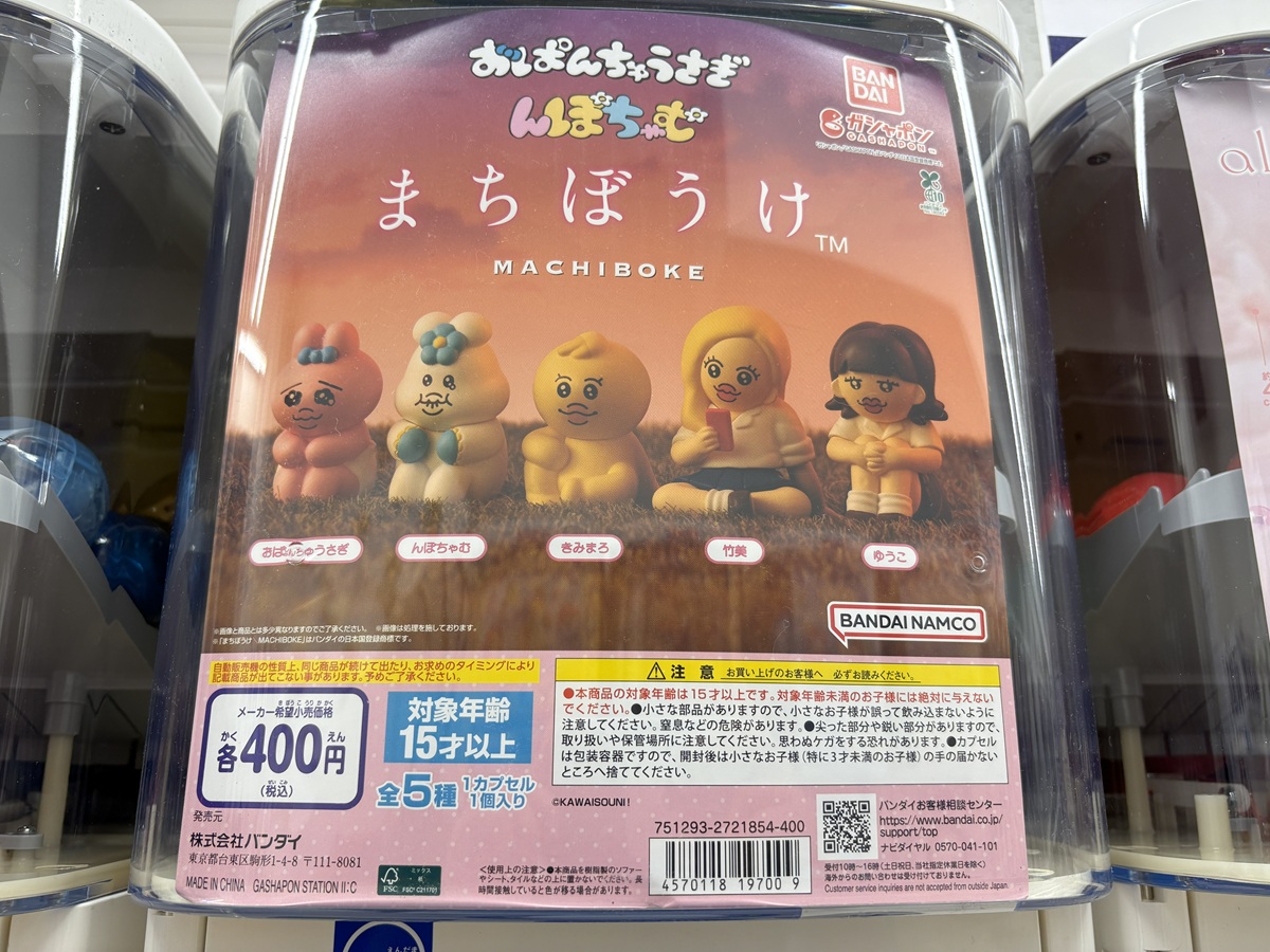 推しのおぱんちゅうさぎ発見