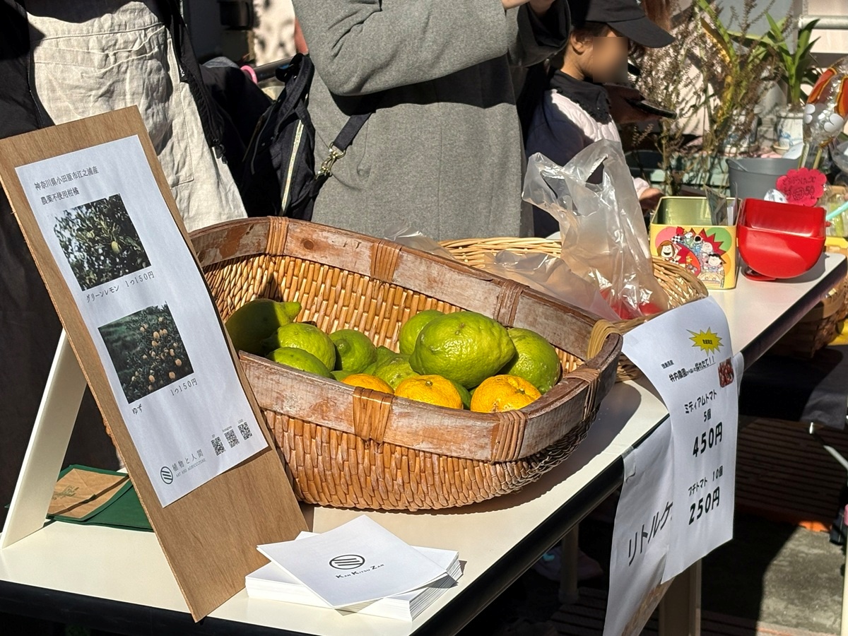 園庭では無農薬の野菜やフルーツも販売