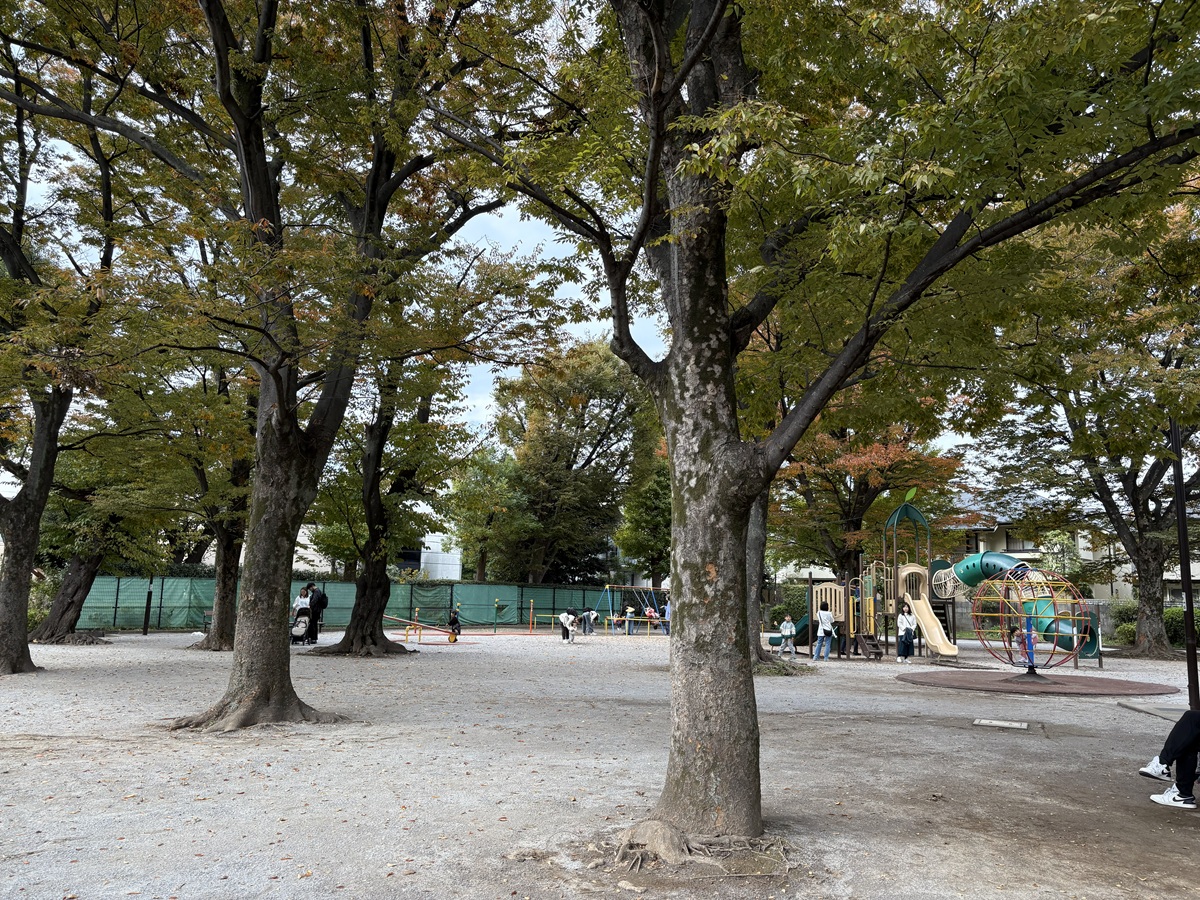 広々としたスペース