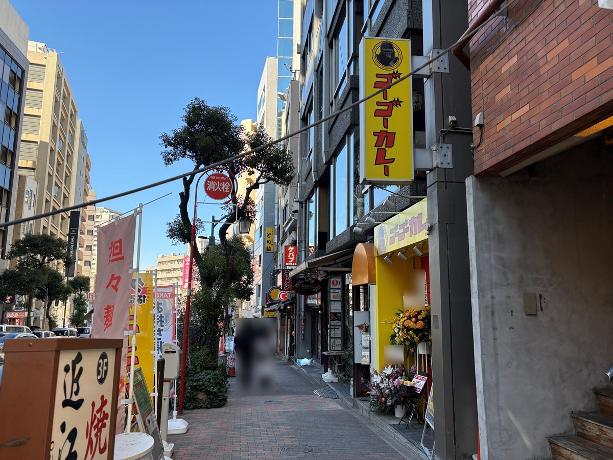 目黒権之助坂沿いにオープンしたゴーゴカレー