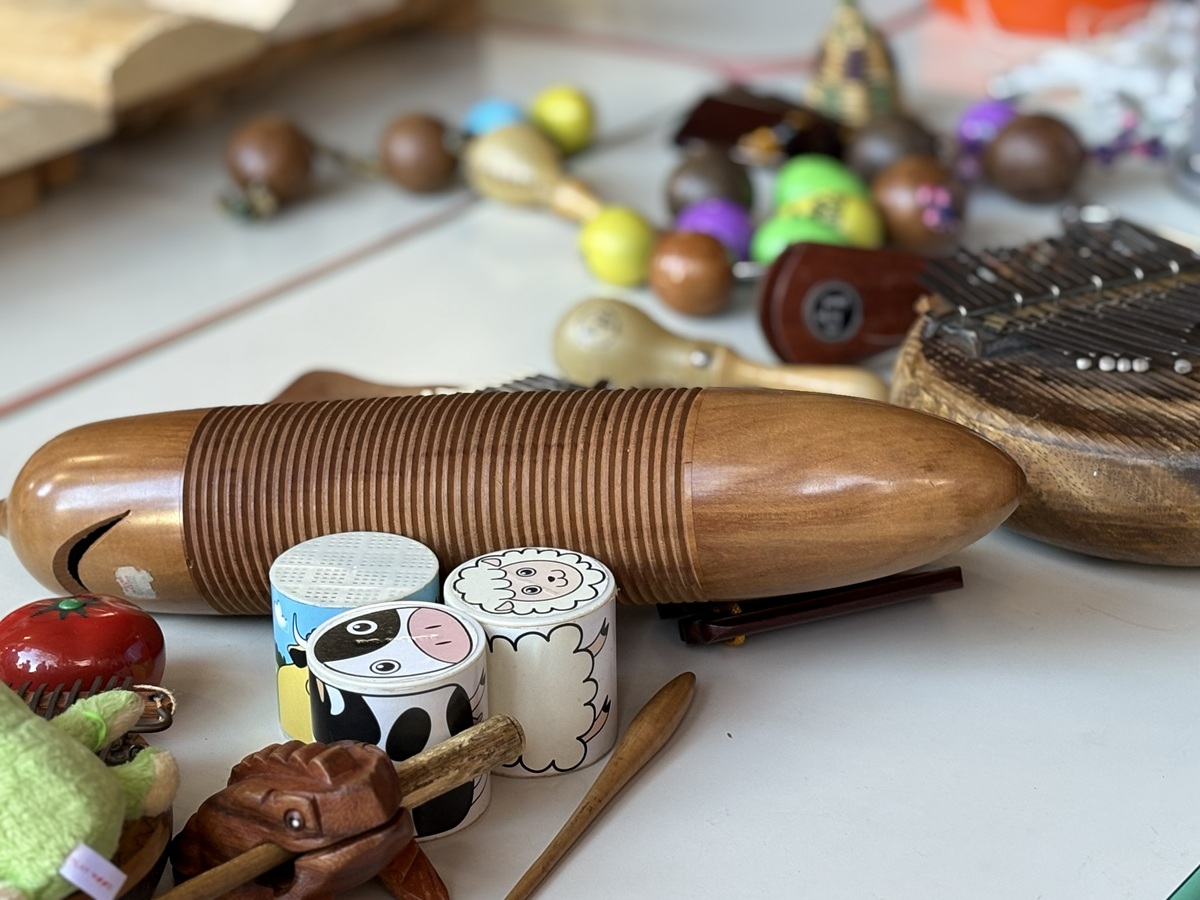 普段みたことのないような楽器がいっぱい