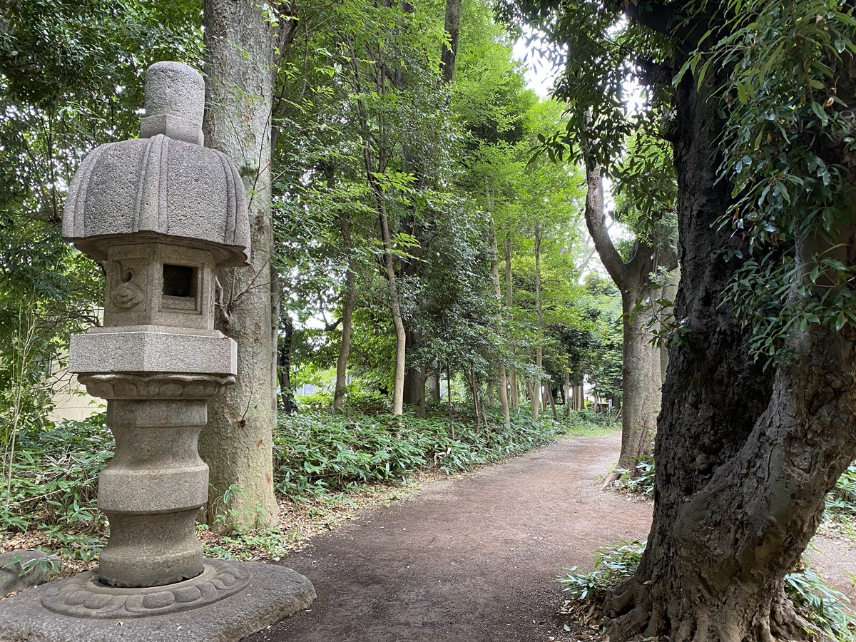石灯篭が立ち並ぶ散策路